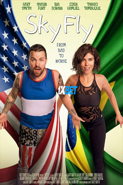 SkyFly.2024.720p.WEBRip.HIN.jpg