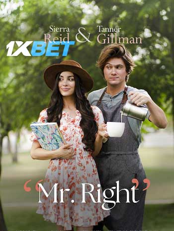 Mr. Right 2023 Hindi (MULTI AUDIO) 720p HDCAM (Voice Over) X264