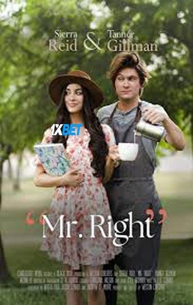 Mr Right (2023) WEB-HD [Hindi (Voice Over)] 720p & 480p HD Online Stream | Full Movie