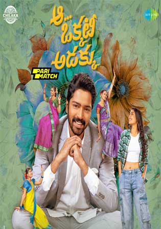 Aa Okkati Adakku 2024 HDCAM Hindi Full Movie Download 1080p