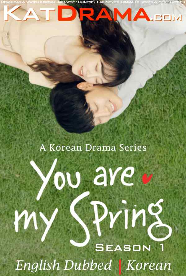 You Are My Spring (Season 1) English + Korean WEB-DL 1080p 720p HD [2021 K-Drama Series]