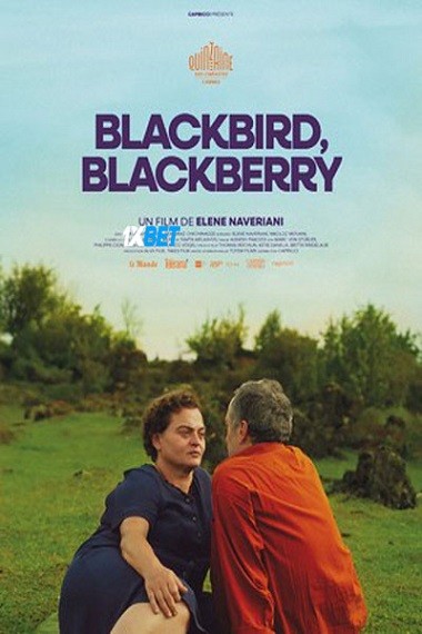 Blackbird.Blackbird.Blackbe.jpg