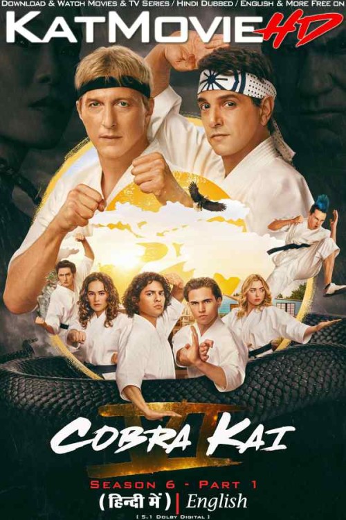 Cobra-Kai-Season-6-Part-1-Hindi-Dubbed.jpg