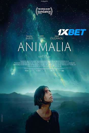 Animalia 2023 Hindi (MULTI AUDIO) 720p WEB-HD (Voice Over) X264