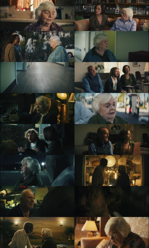 Thelma.2024.1080p.WEB.HDRip.English.DD.5.1.x264.MSubs.Full4Movies_s.jpg