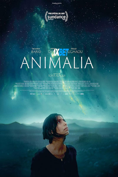 Animalia.jpg