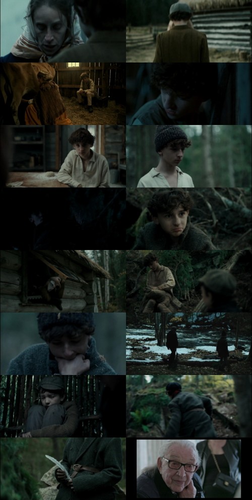 The.Boy.in.the.Woods.2024.1080p.WEB.HDRip.English.DD.5.1.x264.ESubs.Full4Movies_s.jpg