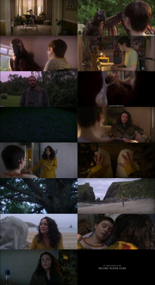 Tuesday.2024.1080p.WEB.HDRip.English.DD.5.1.x264.MSubs.Full4Movies_s.jpg