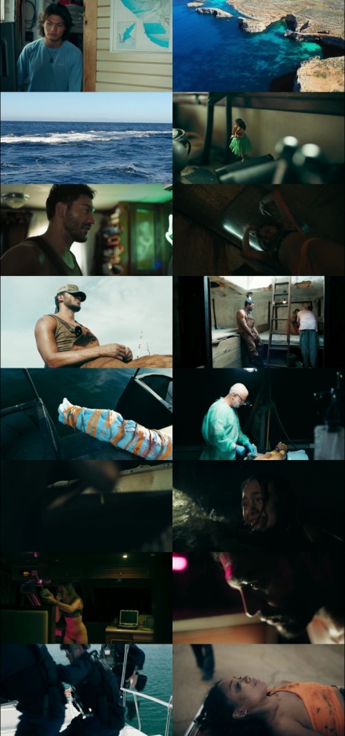 Dead.Sea.2024.1080p.WEB.HDRip.English.DD.5.1.x264.ESubs.Full4Movies_s.jpg