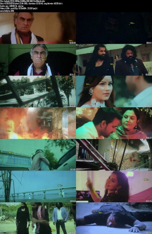 Aadesh.2024.1080p.CAMRip.HIN.DUB.PariMatch_s.jpg