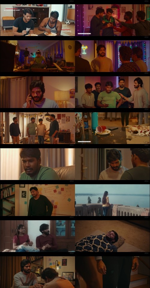 The.Birthday.Boy.2024.1080p.WEB.HDRip.Telugu.DD.5.1.x264.ESubs.Full4Movies_s.jpg