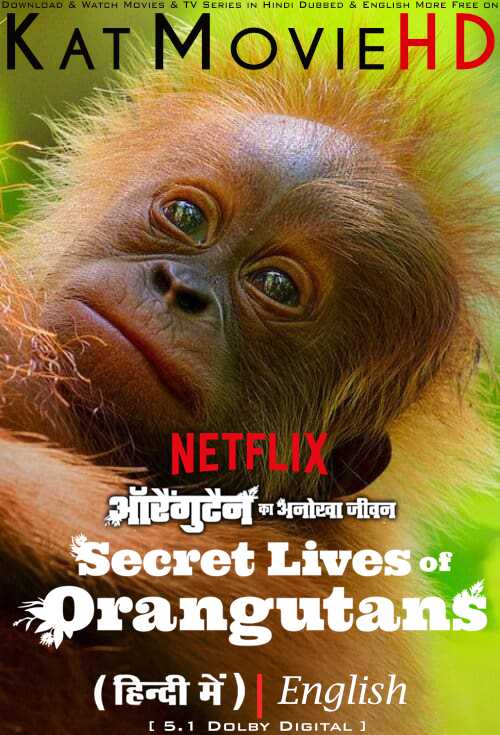 Download Secret Lives of Orangutans (2024) WEBRip 720p & 480p Dual Audio [Hindi Dub ENGLISH] Watch Secret Lives of Orangutans Full Movie Online On KatMovieHD