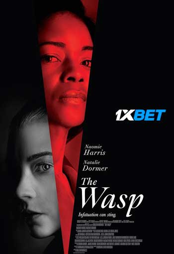 The Wasp 2024 Hindi (MULTI AUDIO) 720p WEB-HD (Voice Over) X264