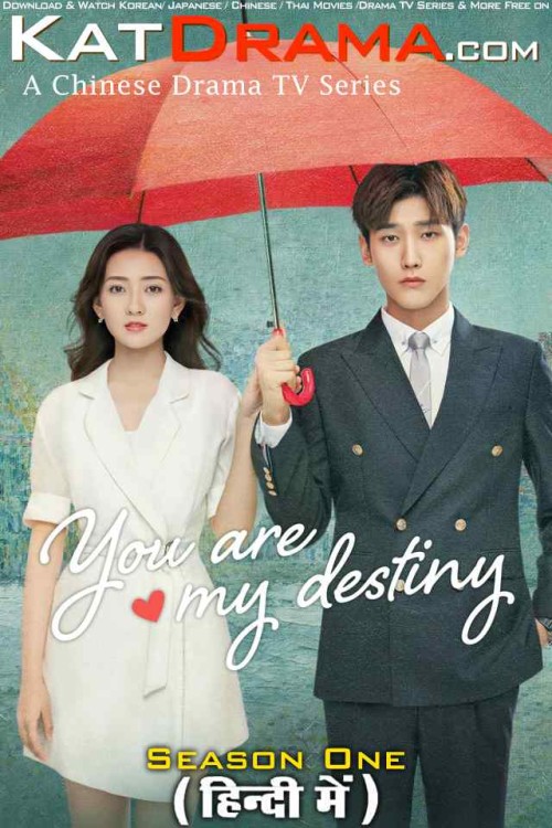 You-Are-My-Destiny-2020-Chinese-Drama-Hindi-Dubbed.jpg