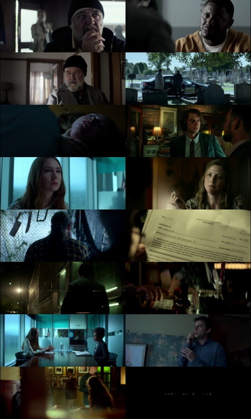 Sleeping-Dogs-2024-English-ORG-5.1-www.SSRmovies.Com-1080p-WEB-DL-x264-ESubs_s.jpg