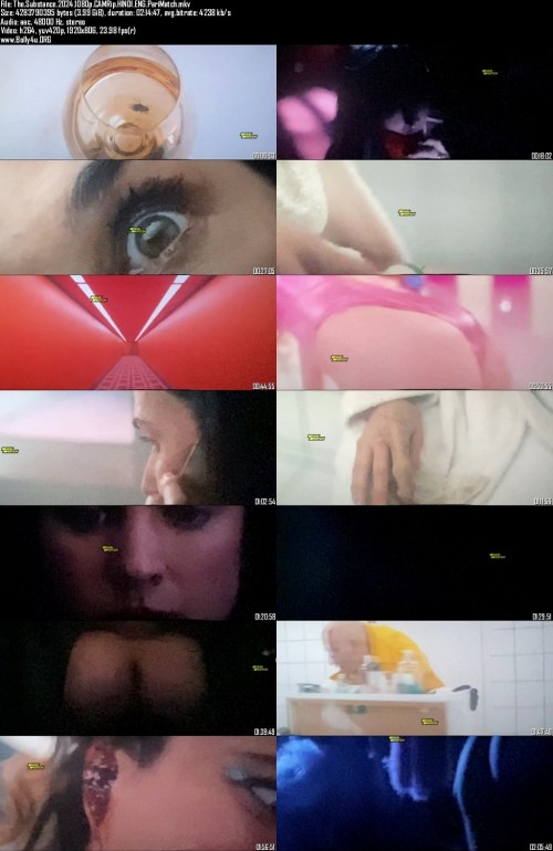 The.Substance.2024.1080p.CAMRip.HINDI.ENG.PariMatch_s.jpg