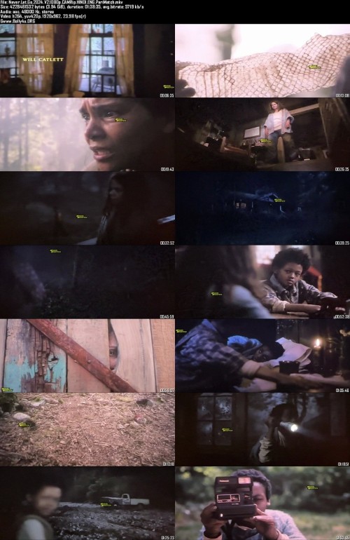 Never.Let.Go.2024.V2.1080p.CAMRip.HINDI.ENG.PariMatch_s.jpg