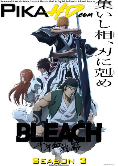 Bleach-Thousand-Year-Blood-War-Season-3-2024-jpg.jpg