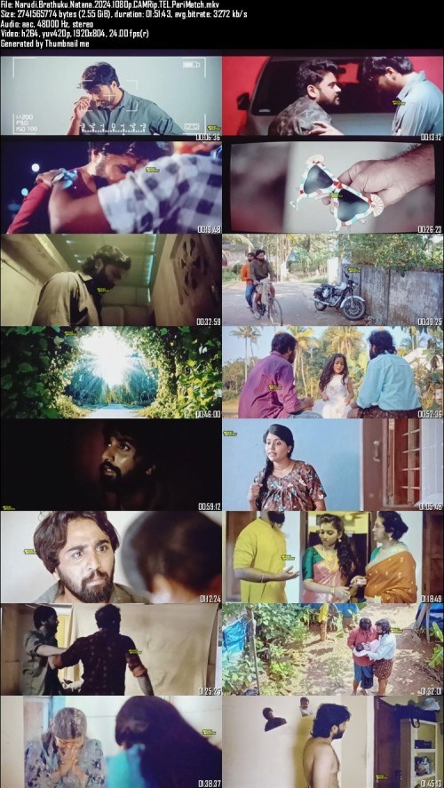 Narudi.Brathuku.Natana.2024.1080p.CAMRip.TEL.PariMatch_s.jpg