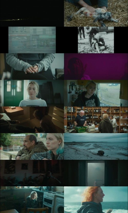 The.Outrun.2024.1080p.WEB-DL.x264.6CH-Pahe.in_s.jpg