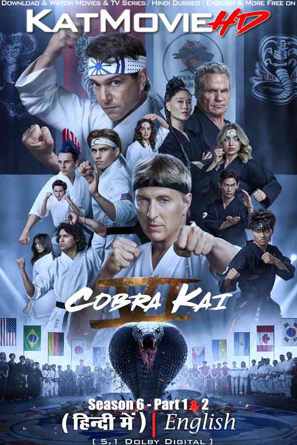 Cobra Kai (Season 6) Hindi Dubbed (DD 5.1) [Dual Audio] WEB-DL 2160p 1080p 720p 480p HD [Netflix Series] – S6 Part 2 All Episodes !