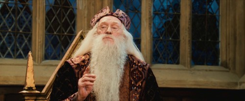 Harry.Potter.and.the.Philosophers.Stone.2001 02 19 17 21