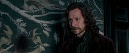 Harry Potter and the Order of the Phoenix 2007 01 15 02 17