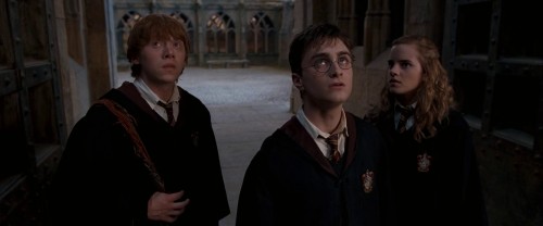 Harry Potter and the Order of the Phoenix 2007 01 25 48 08