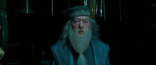 Harry Potter and the Order of the Phoenix 2007 01 58 29 14