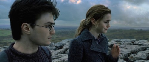 Harry-Potter-and-the-Deathly-Hallows-Part-1-2010-01_19_18_08.jpg