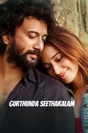 Gurthunda Seethakalam 2022 WEB-DL Hindi ORG Dual Audio Movie 720p – 480p