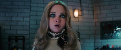 cat 2025 08 07 11h55m07s707