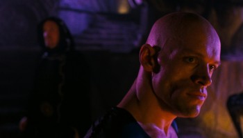 cat-2025-08-23-17h26m25s410.th.jpg