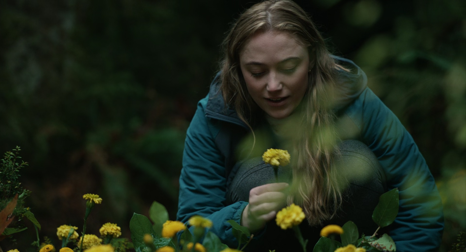 AllMoviesHub, HdMoviesHub, All MoviesHub, Hd MoviesHub, All Movies Hub