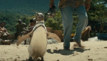 Download My Penguin Friend 2024 Hindi Dubbed HDRip Full Movie
