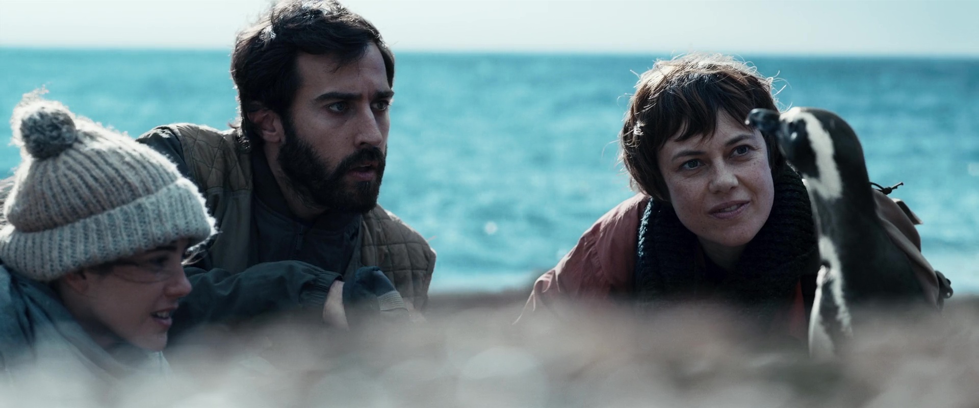 AllMoviesHub, HdMoviesHub, All MoviesHub, Hd MoviesHub, All Movies Hub