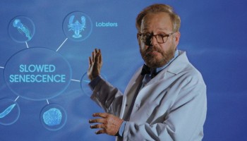 Download Shell 2024 Hindi Dubbed HDRip Full Movie