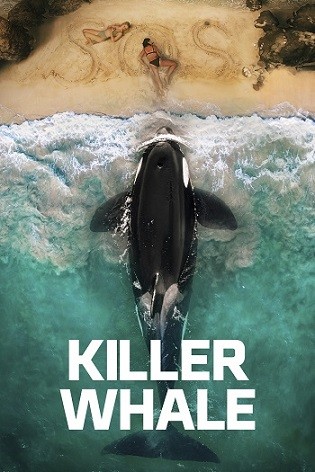 Killer whale 2026 WEB-DL English Full Movie Download ESubs 720p 480p