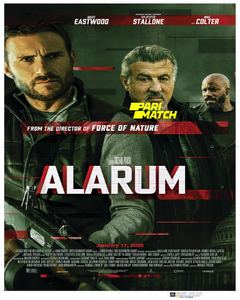 processed_ALARUM4c286c0d396d4f8f.jpg