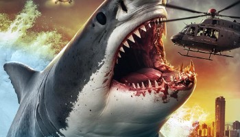 processed_SHARKS-N-DA-HOOD7ab4d45af729bdcc.jpg