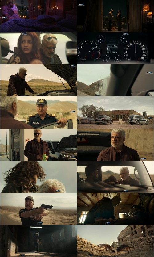 VidaaMuyarchi.2025.1080p.WEBRip.HIN.DUB.4RABET_s.jpg