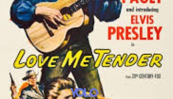 processed_LOVE-ME-TENDERf246445c2eda1cb7.jpg