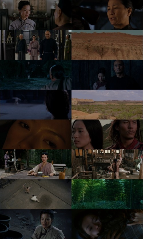 Crouching.Tiger.Hidden.Dragon.2000.1080p.BluRay.Hindi.English.DD5.1.x264.ESubs.Untouch_s.jpg