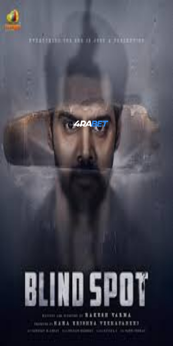 Blind Spot 2025 (MULTI AUDIO) 1080p WEBRip HIN DUB (Voice Over) X264 4RABET