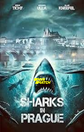 processed_SHARKS-IN-PRAGUE037d3b36e33f4ac3.jpg