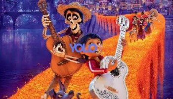 processed_COCO-WORLD53f3f4d3b50c06f8.jpg
