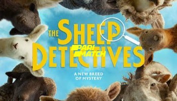 processed_THE-SHEEP-DETECTIVESc06afc19c1def85b.jpg