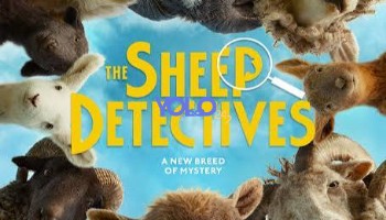 processed_THE-SHEEP-DETECTIVESf979dd90d18e165a.jpg