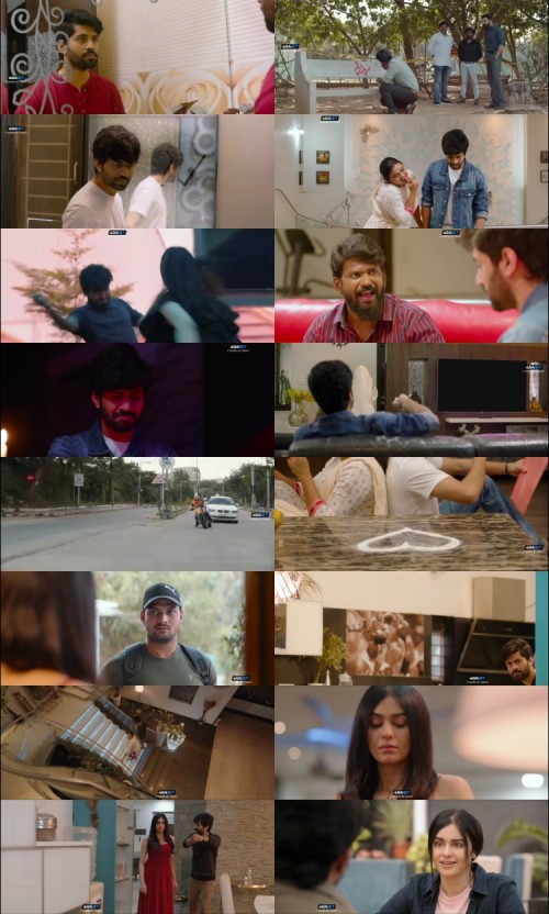 C.D.Criminal.or.Devil.2024.WEBRip.HIN.DUB.4RABET_s.jpg