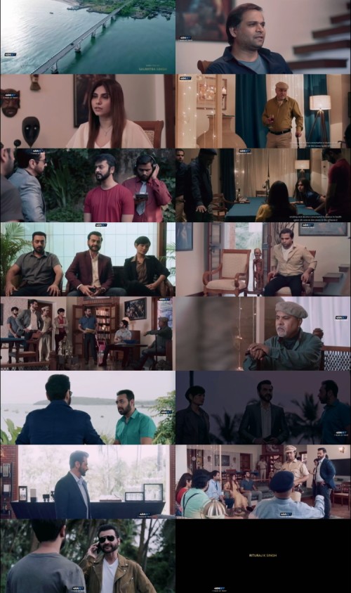 House.of.Lies.2024.WEBRip.HIN.DUB.4RABET_s.jpg